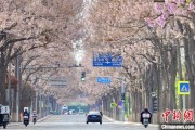 贵阳共建“花园城市” 北京这场议政会“百花齐放”